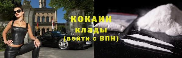 Альфа ПВП Бородино