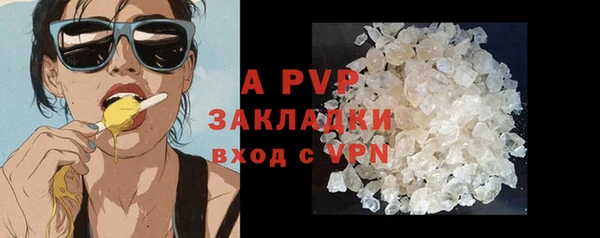 Альфа ПВП Бородино