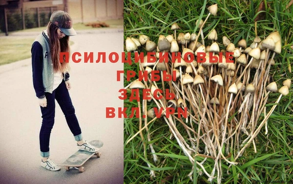 СК Бугульма