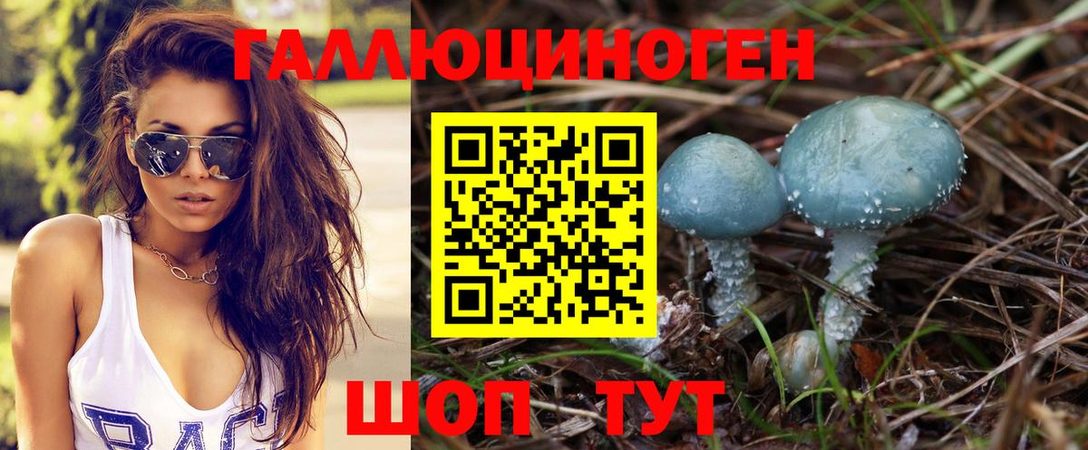 Буйнакск  Псилоцибиновые грибы Cubensis  Вход с VPN 