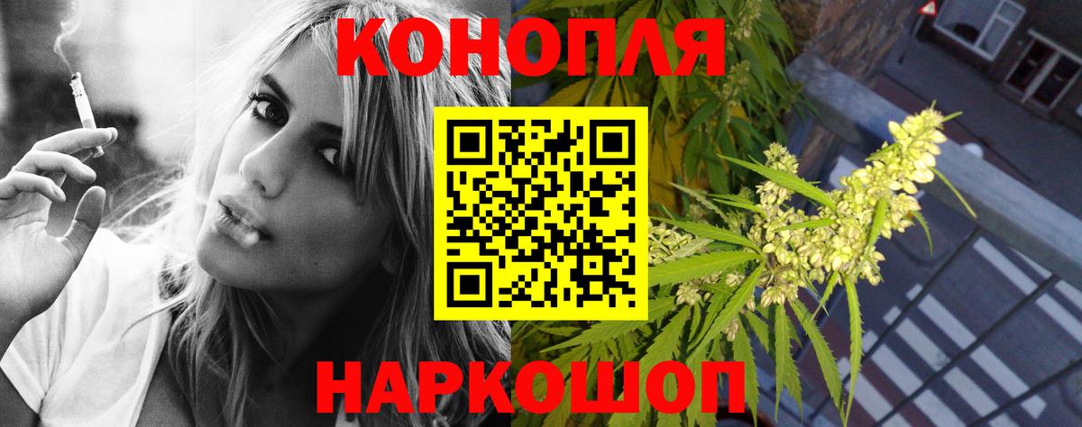 Шишки марихуана план Буйнакск